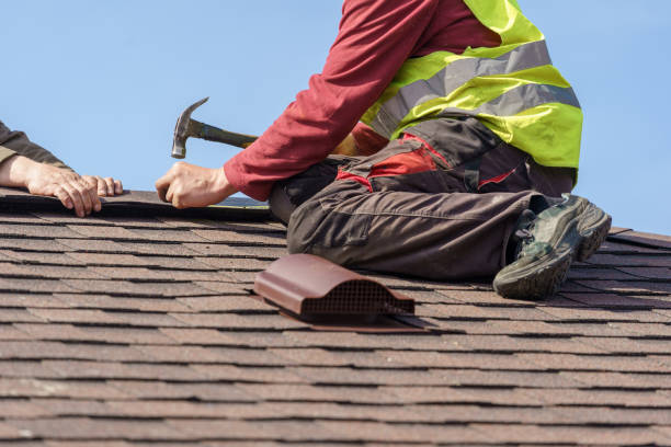 Best Roof Leak Repair  in Circle Pines, MN