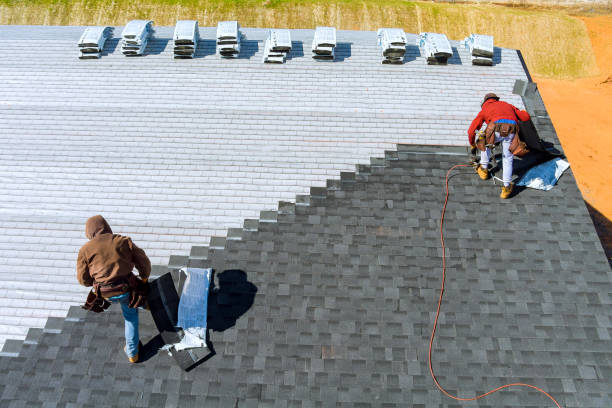Best Roof Leak Repair  in Circle Pines, MN