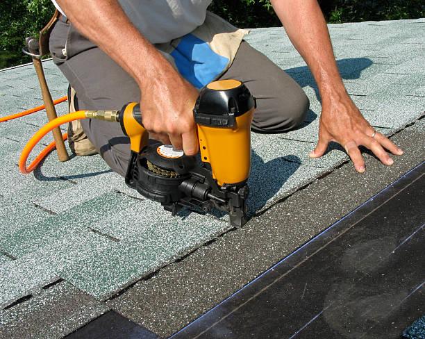 Best Flat Roof Repair Services  in Circle Pines, MN