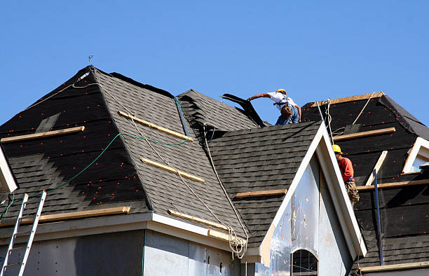 Best Storm Damage Roof Repair  in Circle Pines, MN