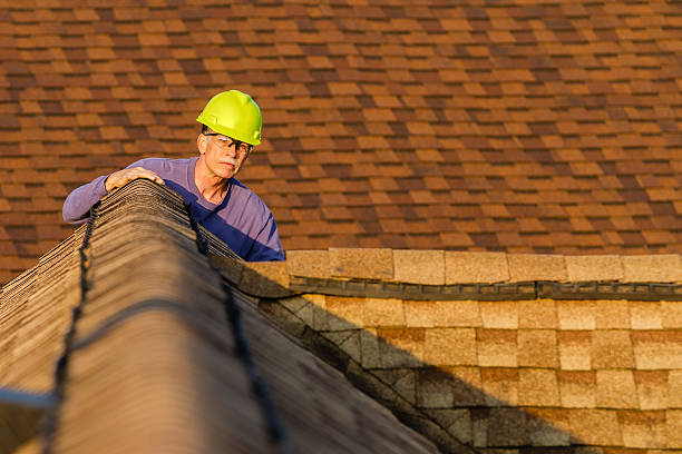 Trusted Circle Pines, MN Roofing Contractor Experts