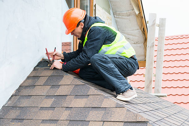 Best Roof Maintenance Services  in Circle Pines, MN
