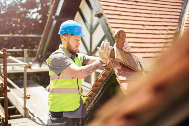 Roof Gutter Cleaning in Circle Pines, MN